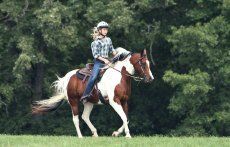 Horse riding