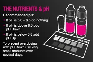 Monitor the nutrients and pH with a Nutriculture NFT System