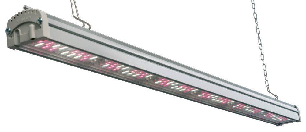 A 100 watt LED grow bar for hydroponics systems