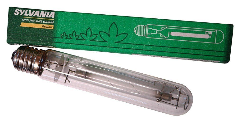 The metal halide light that gives natural light for indoor hydroponics systems