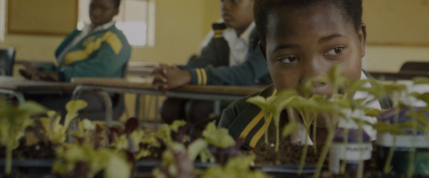 After 25 years in the Hydroponics industry Plagron are able to gift their support to  to farming in South Africa