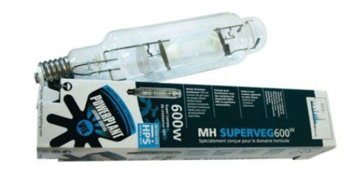 The metal halide light that gives natural light for indoor hydroponics systems