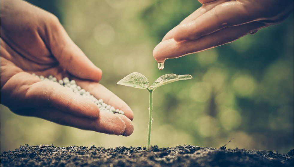 Using carbohydrate supplements to increase the yield of your plant growth