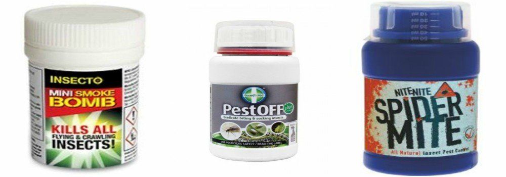 There are plenty of chemical treatments to protect your plants from the attack of mites when ladybirds are hibernating
