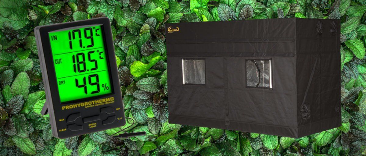 Regulate the temperature of your growroom for the most prosperous growth