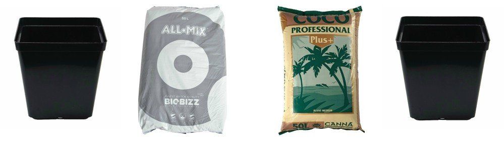 The ideal pots when transplanting propagated plants are around 1 litre and good soil is BioBizz All Mix and Canna Coco