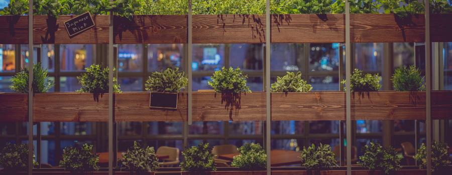 Vertical hydroponics makes efficient use of the space indoors to grow more crops