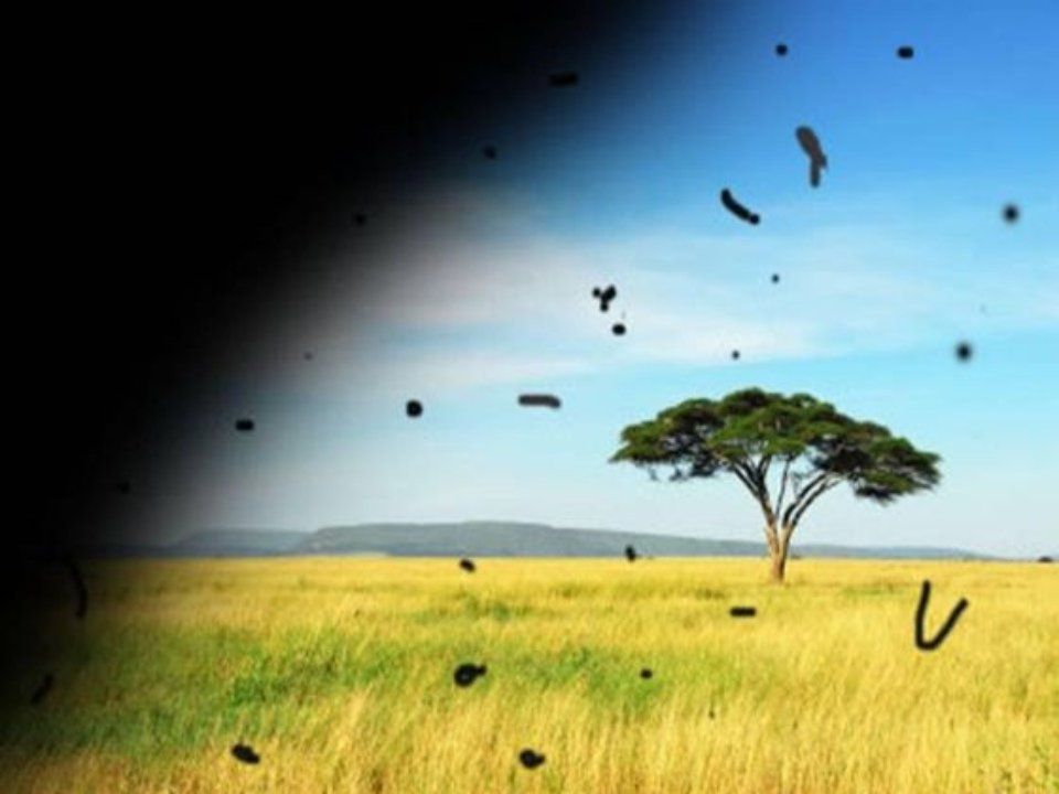 Simulazione della degenerazione maculare: campo visivo che mostra macchie scure e visione centrale sfocata su un paesaggio di savana.