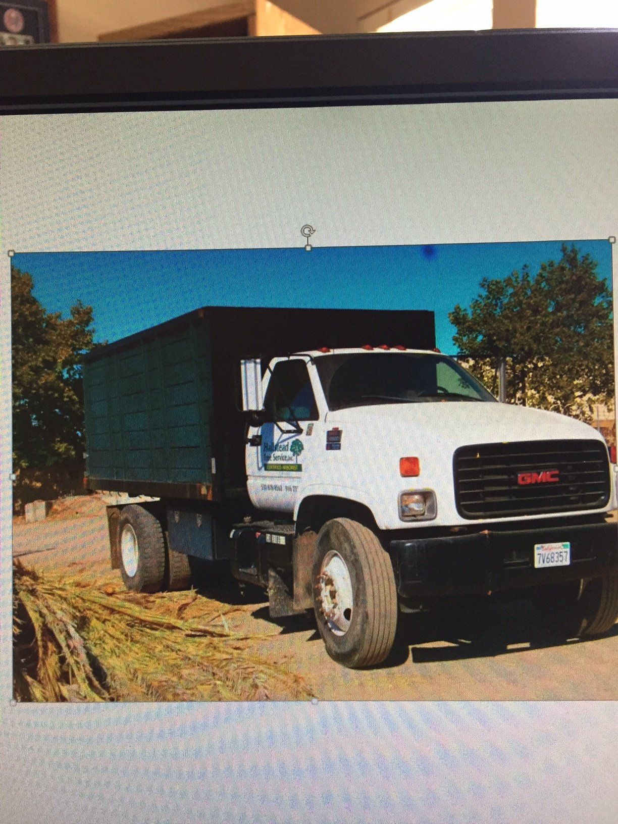 TREE SERVICE COMPANY