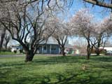 SOLD!!! PRESCHOOL AND PROPERTY