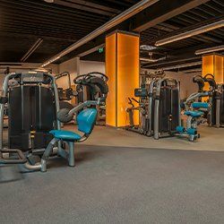 Fitness