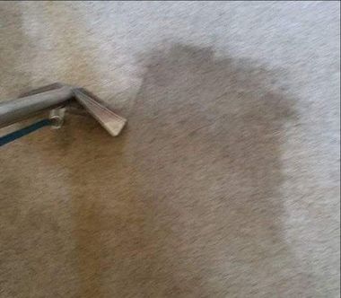 Types of carpets we clean