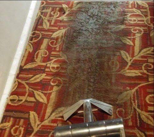 Carpet cleaning made easy