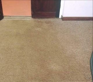 choose our carpet cleaning services