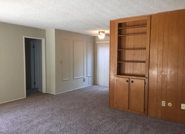 Carpeted living area with paneling on walls