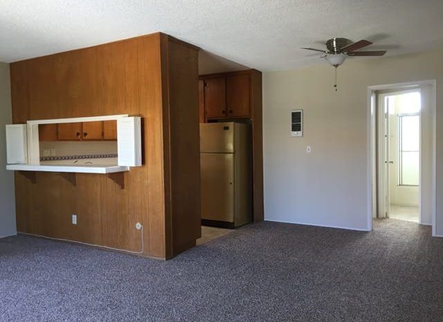 Carpeted living area with a boxed in kitchen with paneling on walls
