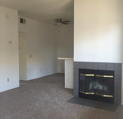 Fireplace next to carpeted living area