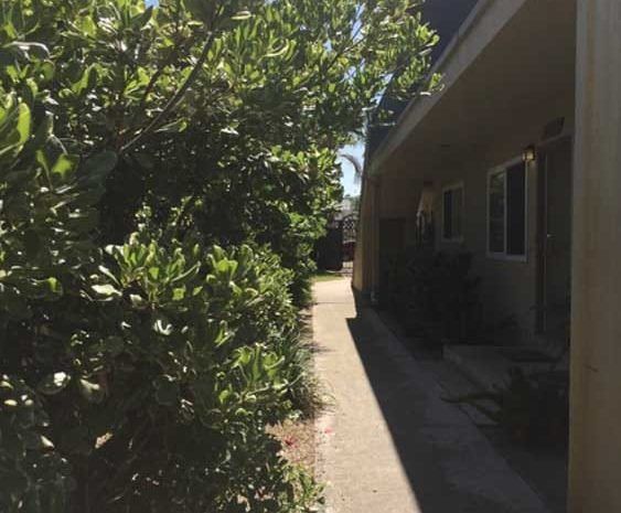 Walkway next to apartment building