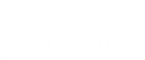 https://www.caionline.org/Pages/default.aspx