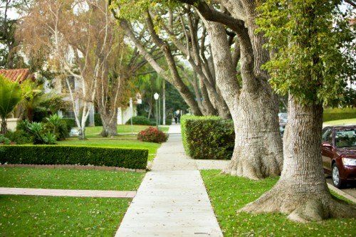 EHP management neighborhood sidewalk