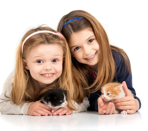 Dental Sealants- Special Smiles, San Diego, Imperial Beach