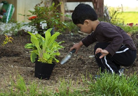 Environmental impact