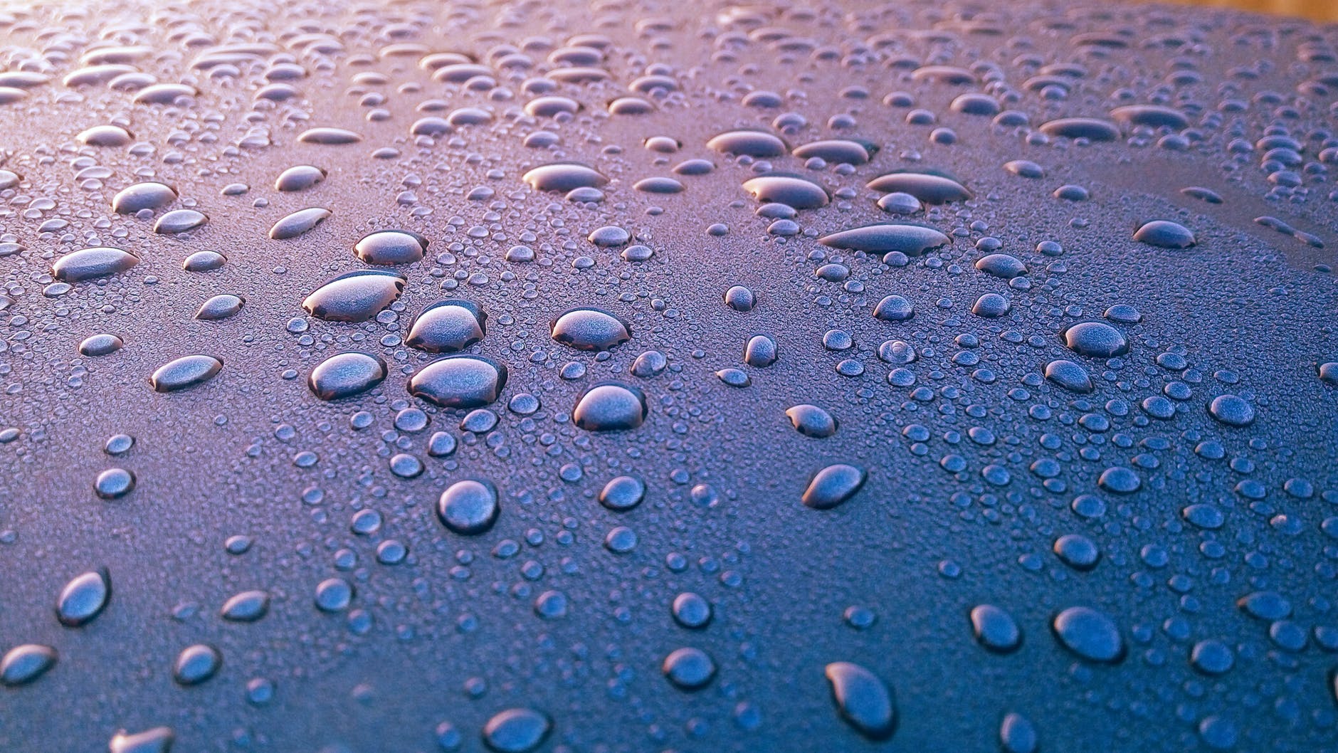 Water droplets on a smooth, blue-gray surface, reflecting soft light.