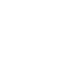 party icon