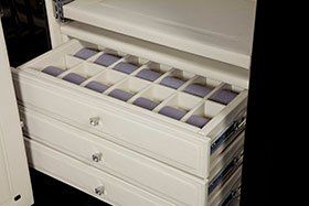an open watch safe