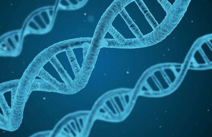DNA