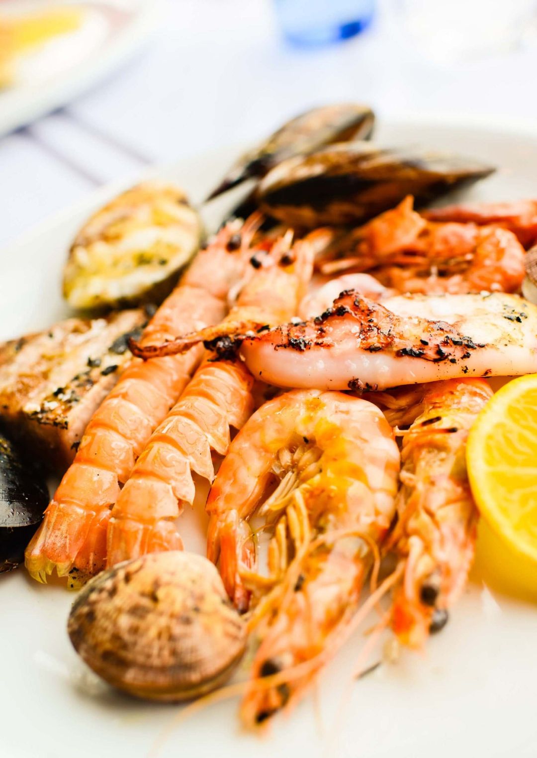 crostacei