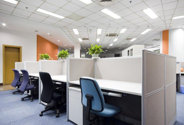 Office cubicles with desks, chairs, and overhead lighting. Orange and white walls, blue carpet.