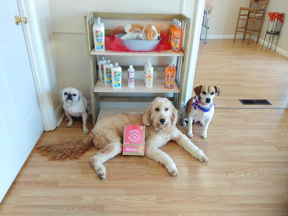 Three dogs are laying on the floor in front of a shelf with bottles on it.