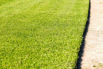 New Sod From Turning Yellow