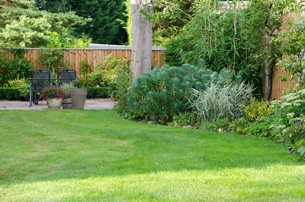 Lawn and Flower Beds