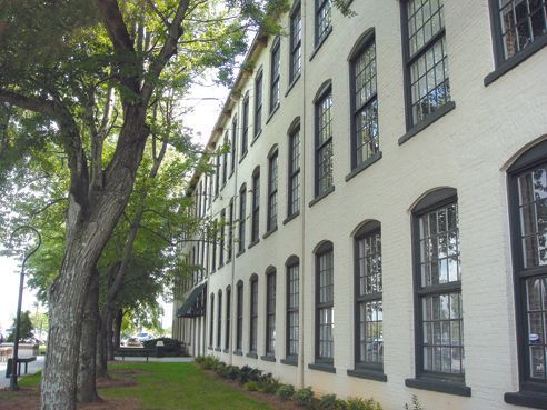 Exit Side Trees
