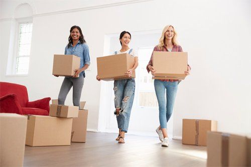 Female Friends Carrying Boxes