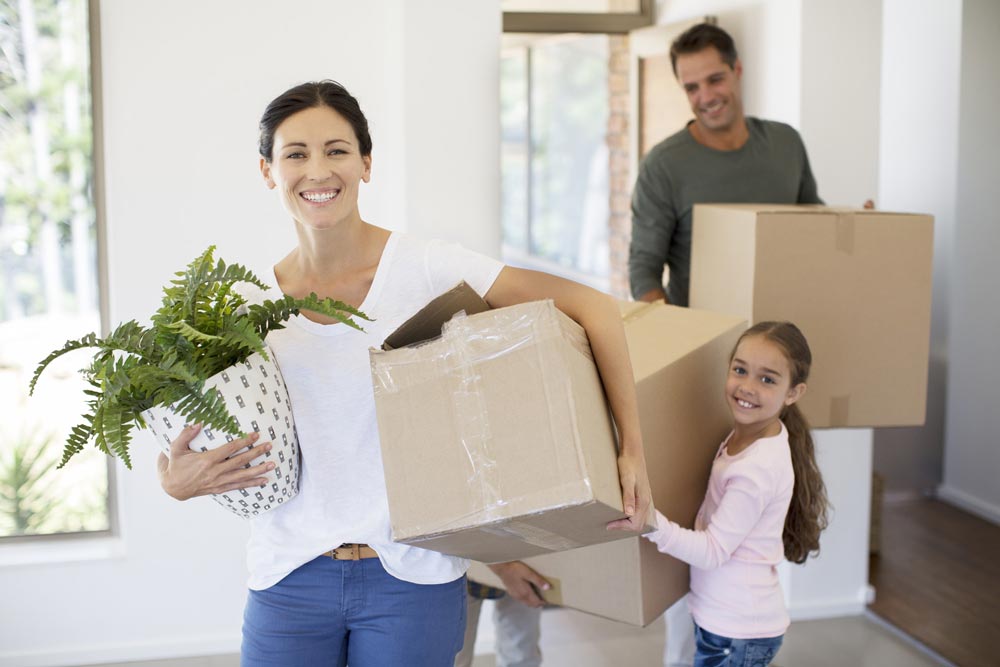 domestic removals in Stockton On Tees