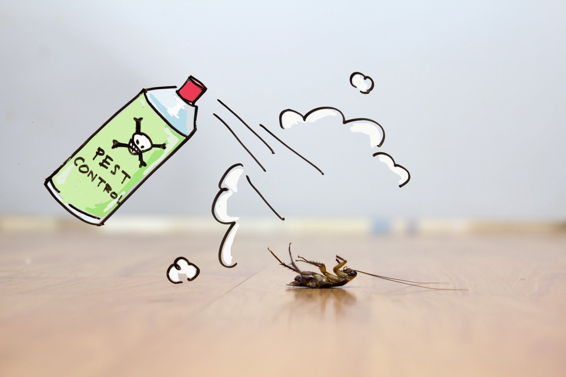 Dead cockroach on floor , drawing of pest control concept
