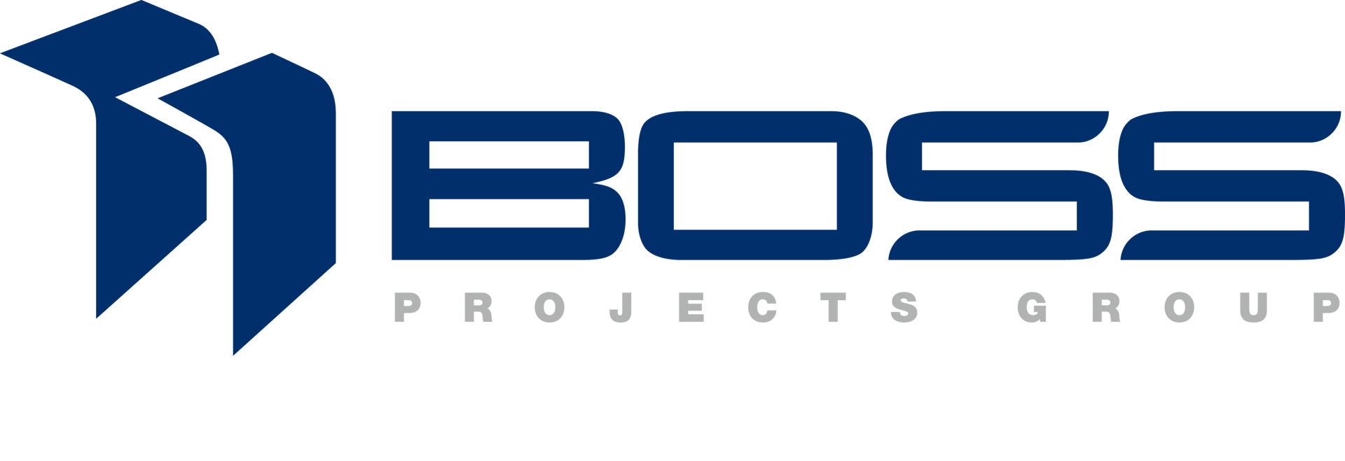 Boss Projects Group