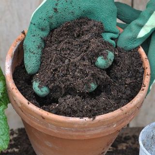 First class compost soil mix