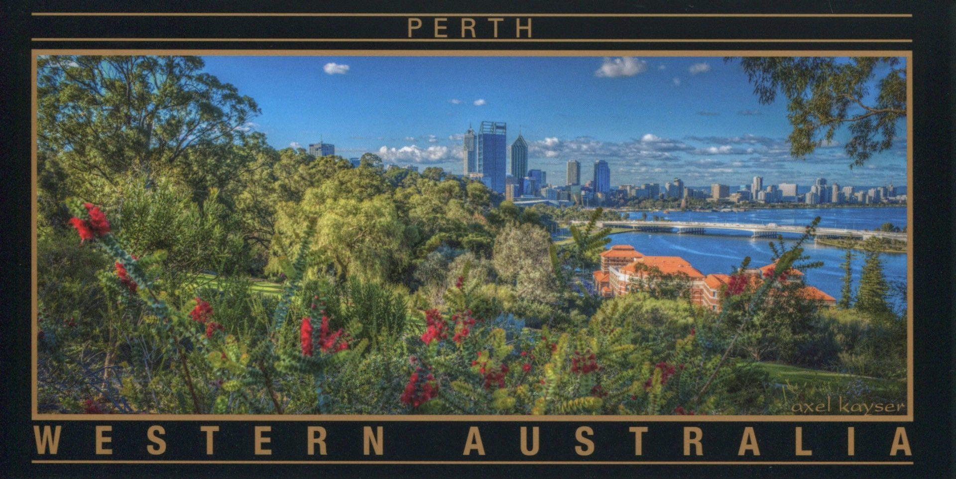 #523