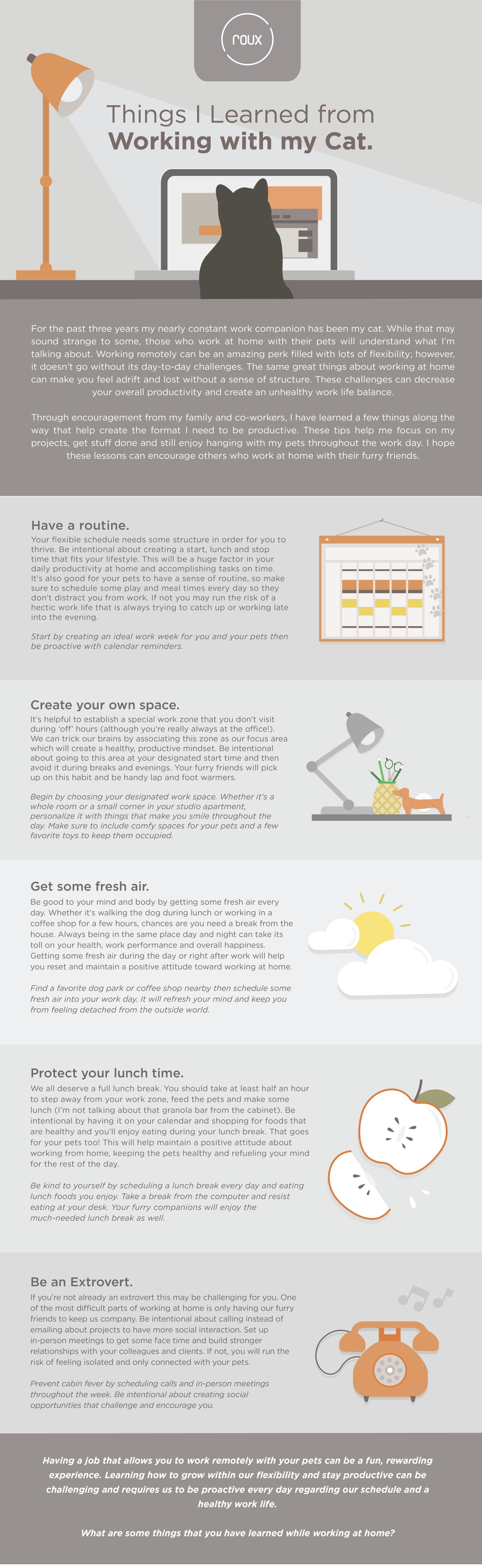 Things I Learned from Working with My Cat | Roux LLC Franklin, TN

