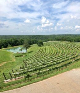 Girl's Weekend | Roux LLC Franklin, TN