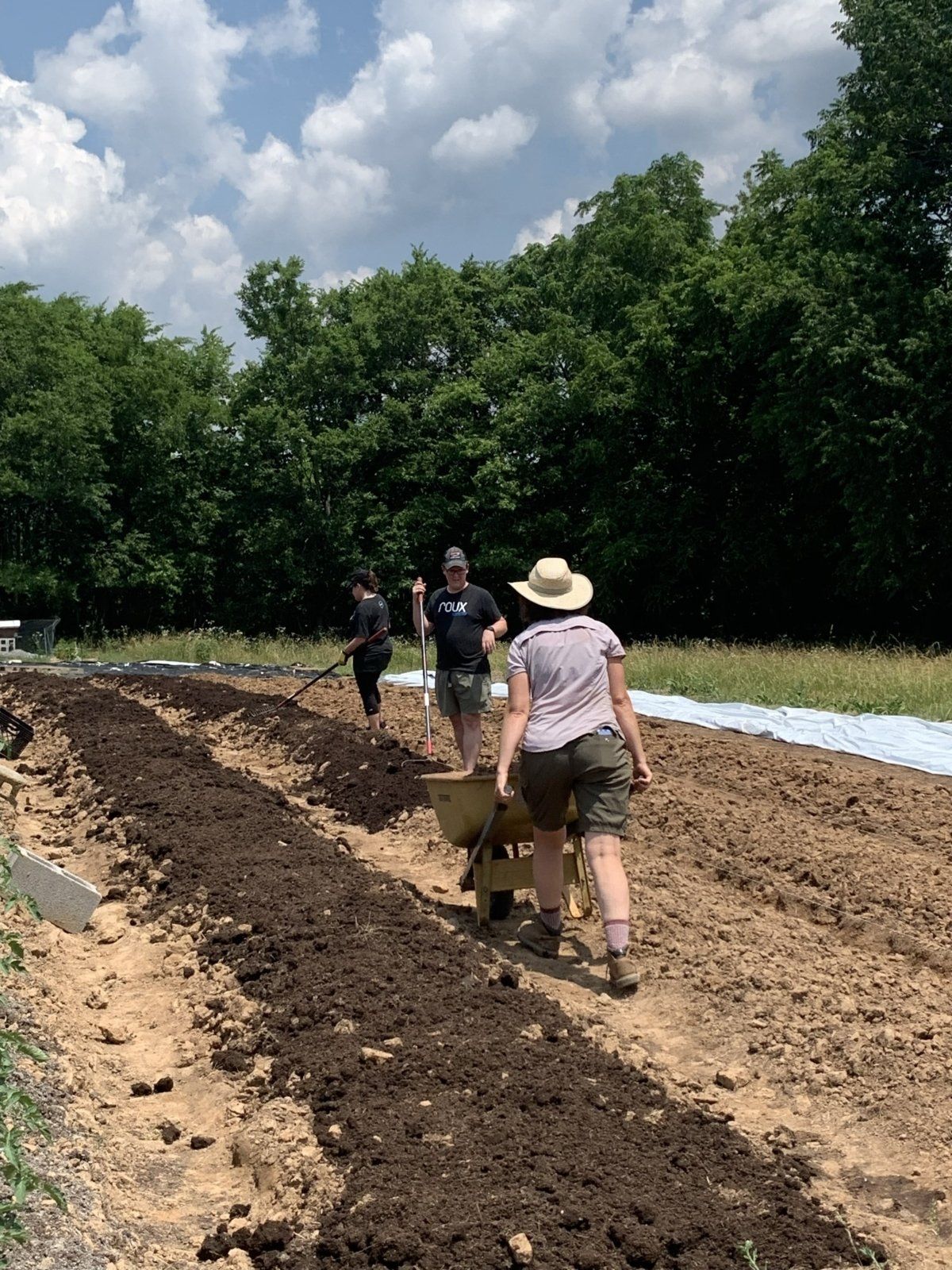 Grow, Cook, Share: The Nashville Food Project Makes a Healthy Impact on Our Community | Roux LLC Franklin, TN