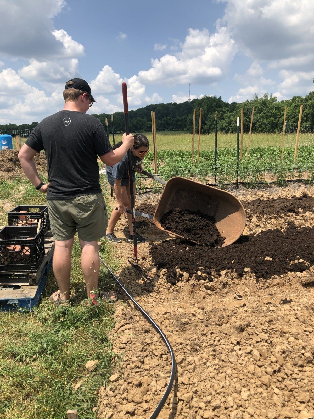 Grow, Cook, Share: The Nashville Food Project Makes a Healthy Impact on Our Community | Roux LLC Franklin, TN