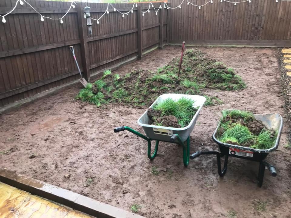 garden before