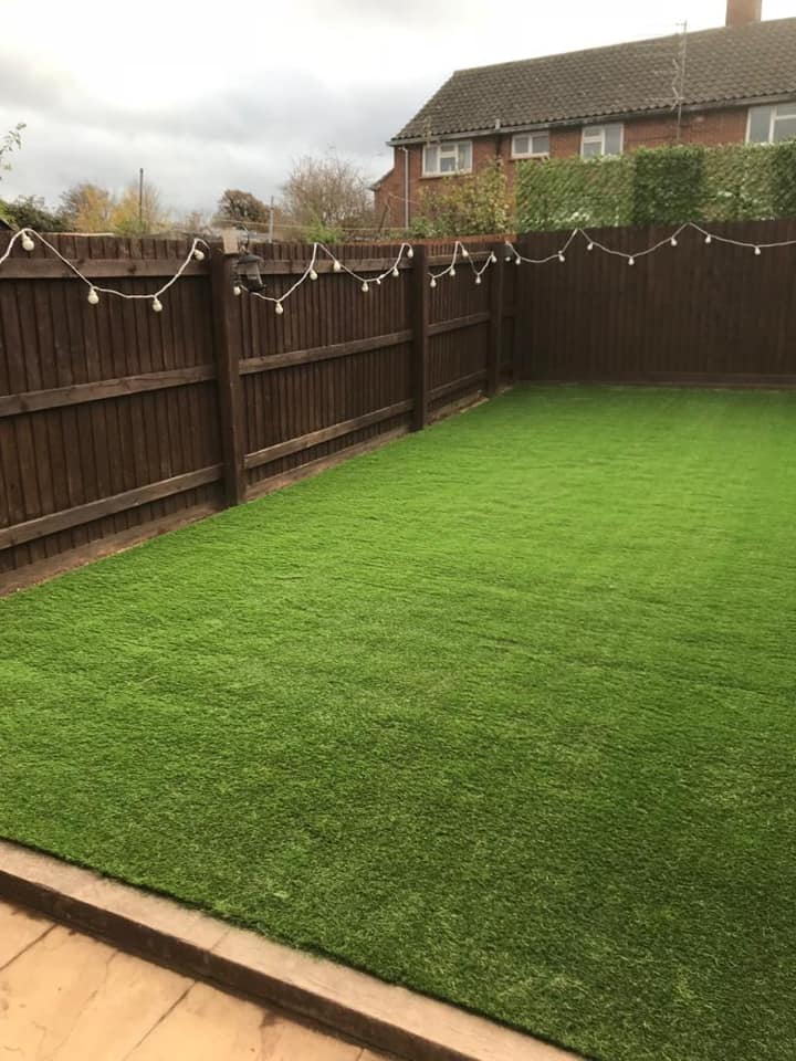 garden after