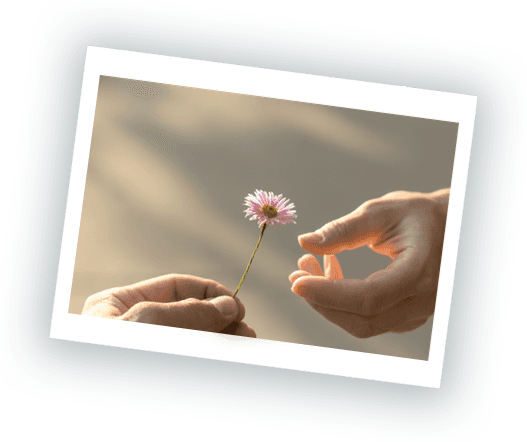 Donate with a Tribute Gift Donate with a Tribute Gift