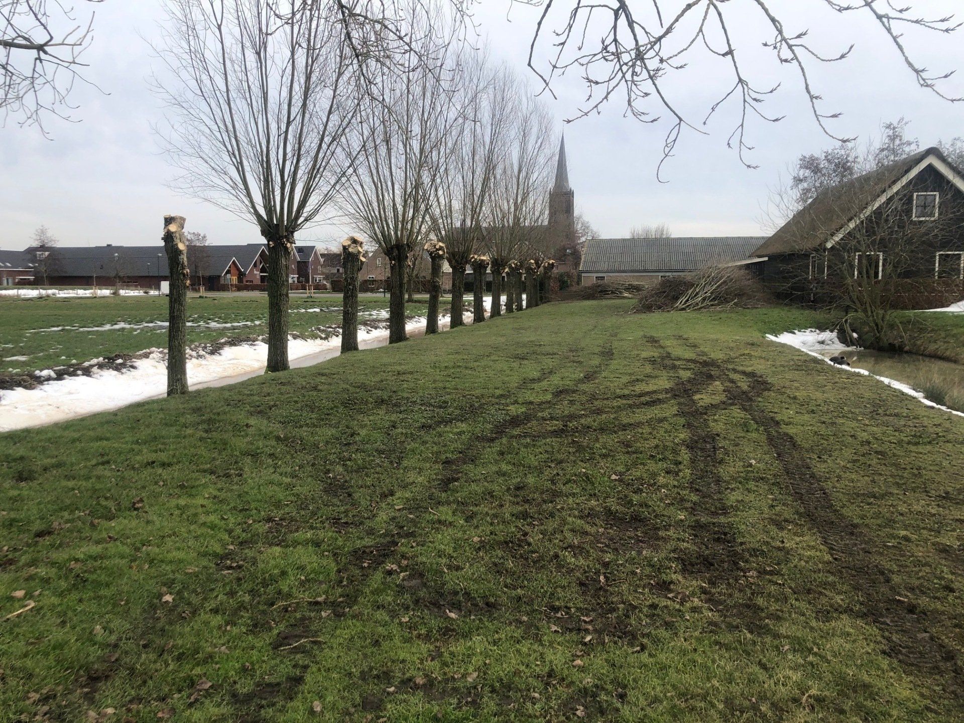 Een rij geknotte bomen langs een grashelling, met een kerk en een gebouw op de achtergrond. Er ligt sneeuw op de grond.
